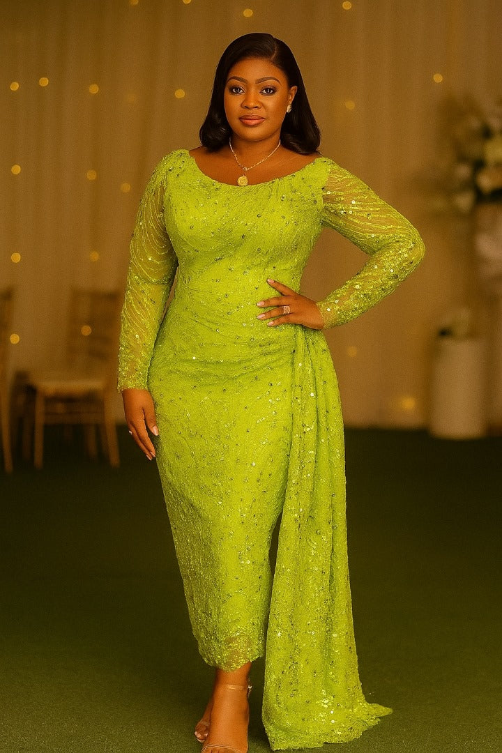 Olive Green Beaded Net Lace